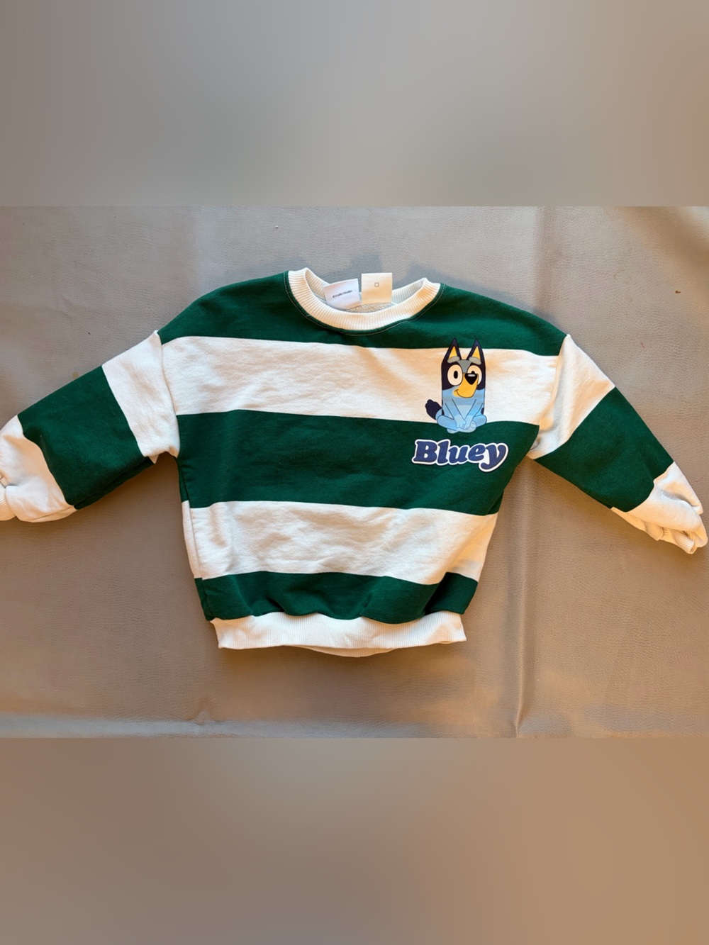 Zara 'Bluey' Green & White Striped Sweatshirt